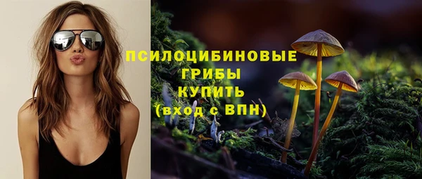 молекула духа Алзамай